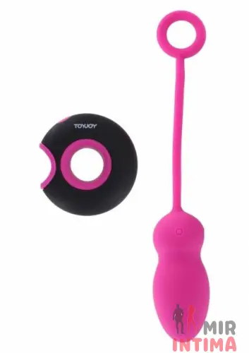 Вагинальное виброяйцо с пультом управления Caresse ToyJoy Embrace I