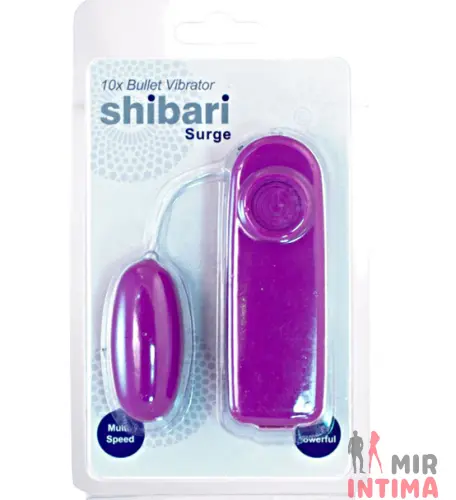 Виброяйцо Surge Bullet Vibrator, 5,5х2,5 см с пультом Виброяйцо Surge Bullet Vibrator, 5,5х2,5 см с пультом
