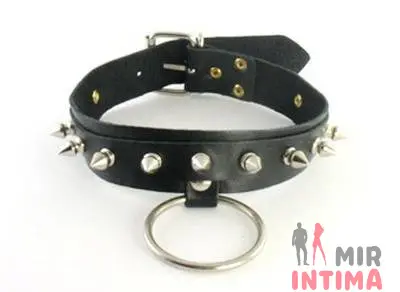 Ошейник Sharped Edge Collar