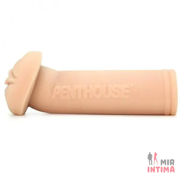 Мастурбатор вагина Penthouse® Calendar Girl CyberSkin® Stroker, September, Lindsay Marie - 3 Мастурбатор вагина Penthouse® Calendar Girl CyberSkin® Stroker, September, Lindsay Marie - 3