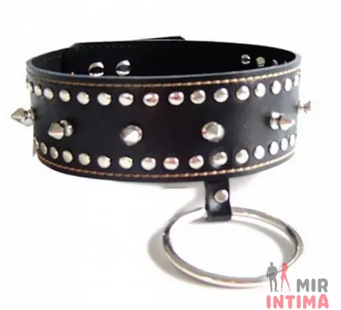 Ошейник с шипами Spikes Collar