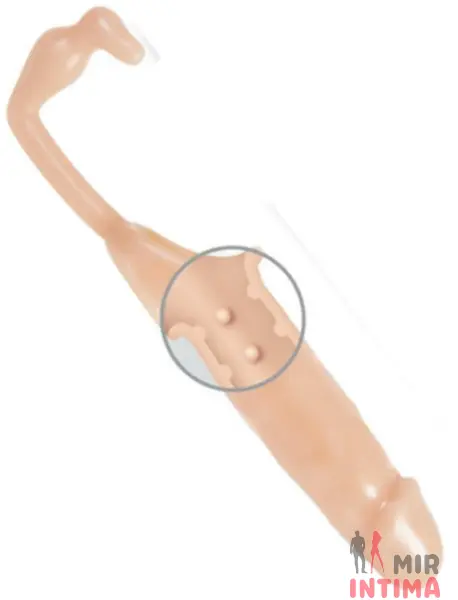 Насадка на пенис с анальным стимулятором Adam S Penis Extension W Anal Leash, 15х5 см - 5 Насадка на пенис с анальным стимулятором Adam S Penis Extension W Anal Leash, 15х5 см - 5