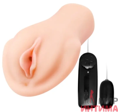 Мастурбатор вагіна з вібрацією BAILE - Passion Lady Vibrating