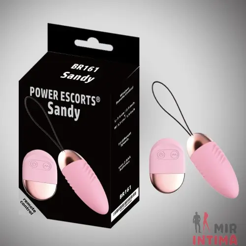 Виброяйцо Sandy EGG Remote Control с ДУ