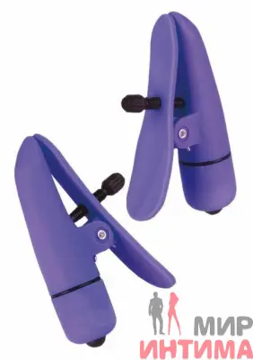 Пластиковые зажимы для сосков Nipplettes Purple