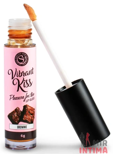 LIP GLOSS VIBRANT KISS BROWNIE - блеск для губ с виброэффектом (брауни), 6 г.