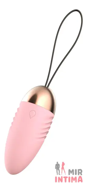 Виброяйцо Sandy EGG Remote Control с ДУ - 2