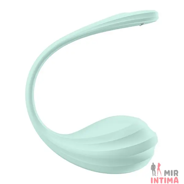 Смарт-виброяйцо Satisfyer Smooth Petal Connect App, силикон - 14