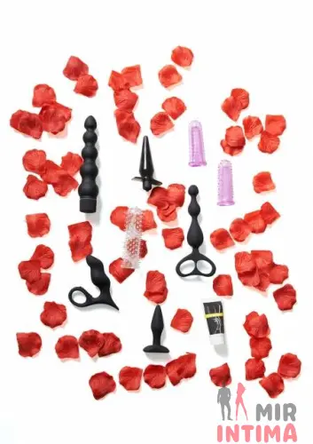 Набор анальных игрушек Anal Starter Kit Набор анальных игрушек Anal Starter Kit
