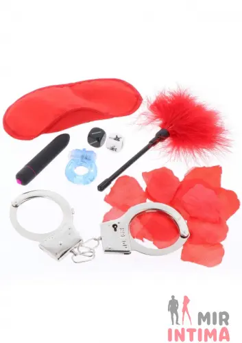 Набор секс-игрушек The Kit