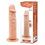 Фаллоимитатор BARBARA 7,8 '' Calvin Flesh - 6 Фаллоимитатор BARBARA 7,8 '' Calvin Flesh - 6