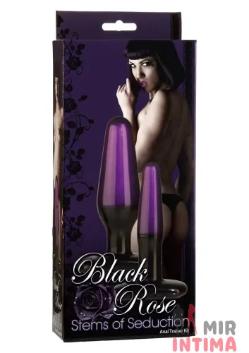 Набор анальных пробок Seduction Trainer Kit, 2 шт