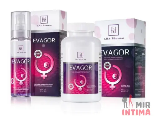 Таблетки Evagor Pills LHX Pharma, 90 шт.